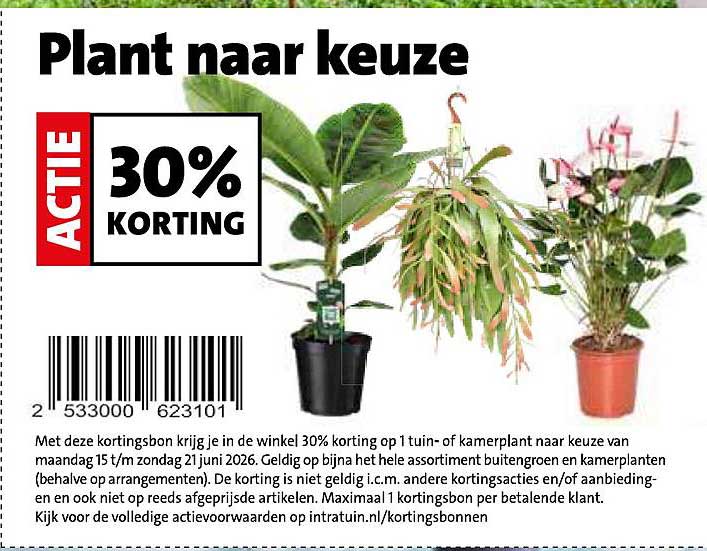 Plant naar keuze 30% KORTING