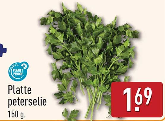 Platte peterselie