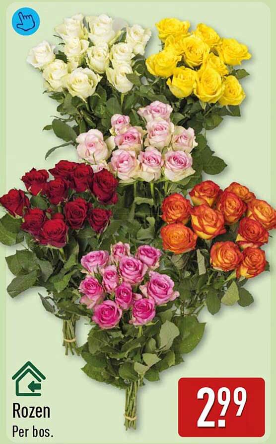 Rozen