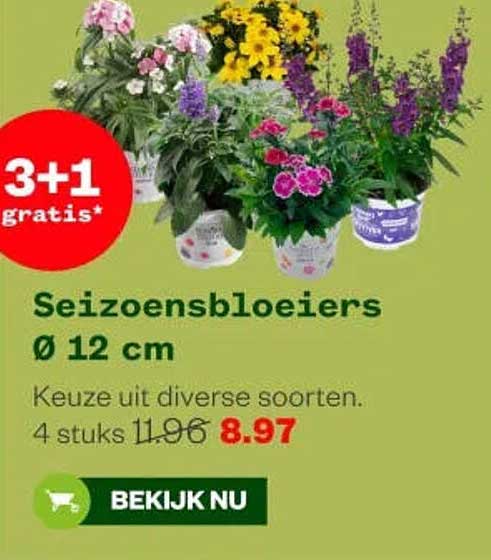 Seizoensbloeiers Ø 12 cm 3+1 gratis*