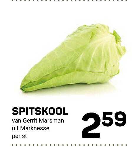 SPITSKOOL van Gerrit Rasmans uit Marknesse per st
