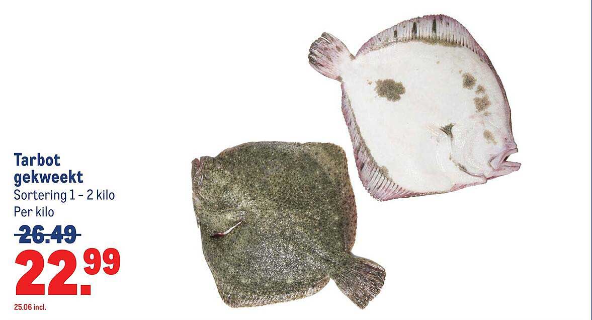 Tarbot gekweekt Sortering 1 - 2 kilo Per kilo