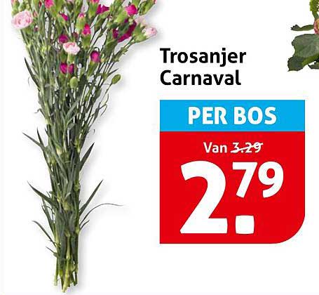 Trosanjer Carnaval