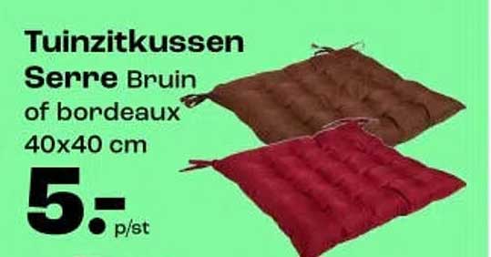 Tuinzitkussen Serre Bruin of bordeaux 40x40 cm