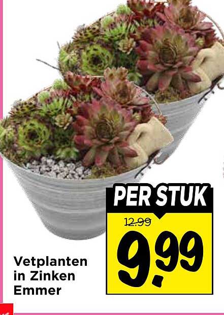 Vetplanten in Zinken Emmer