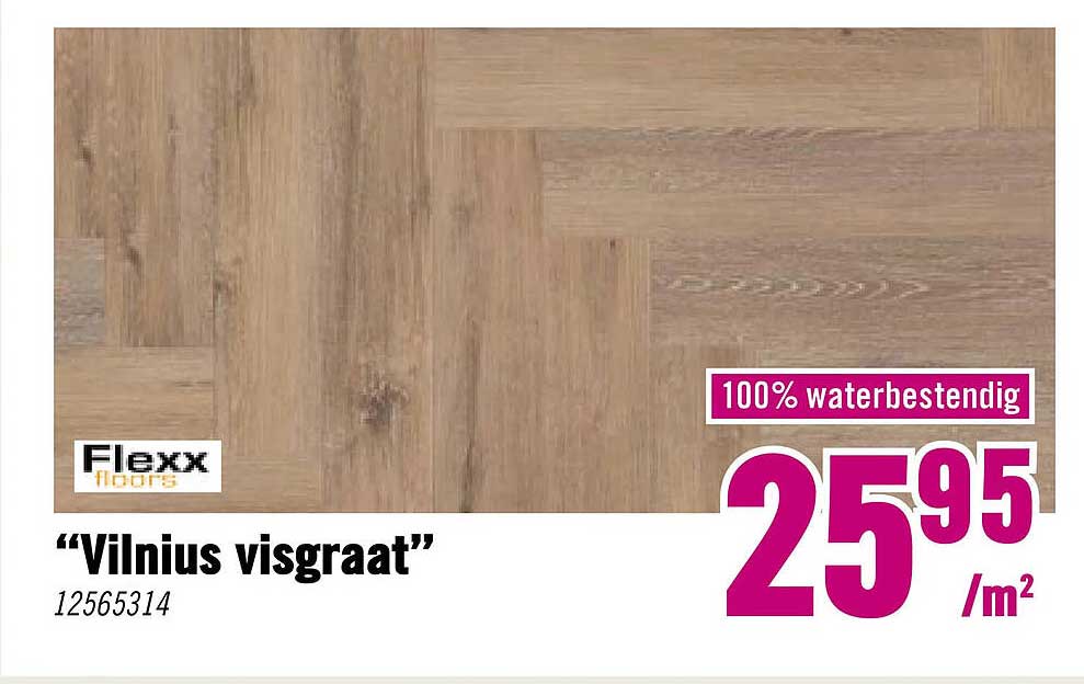 “Vilnius visgraat”
