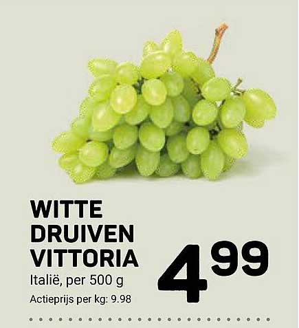 WITTE DRUIVEN VITTORIA