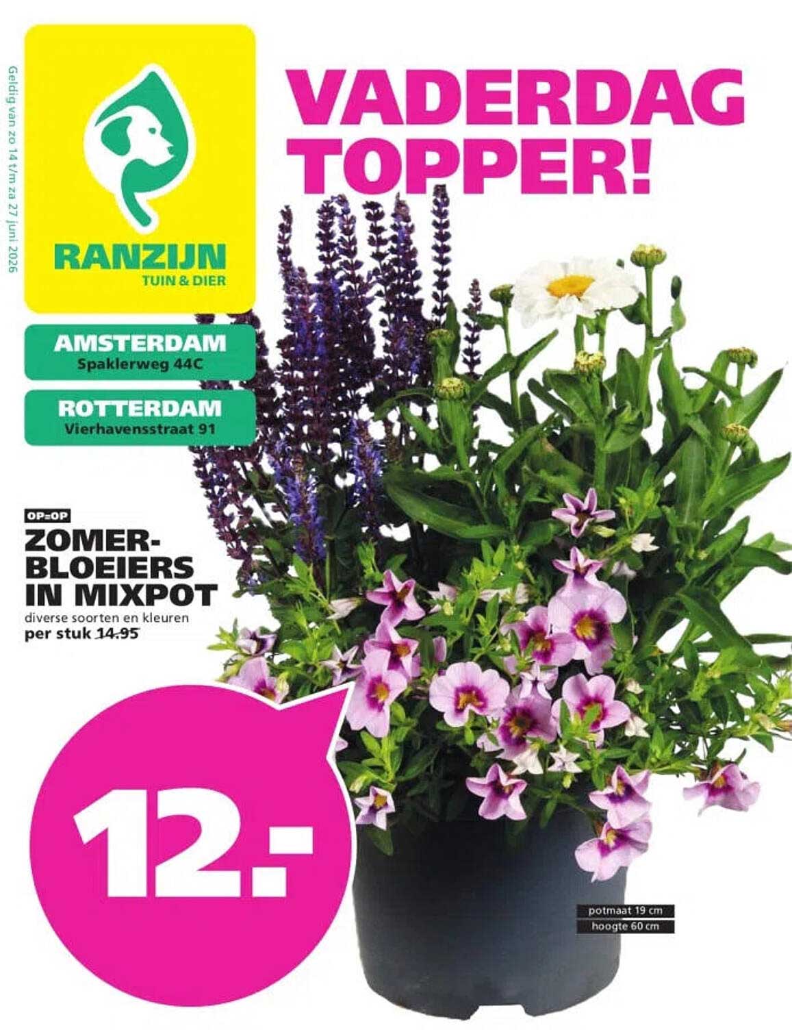 Zomer-bloeiers in mixpot