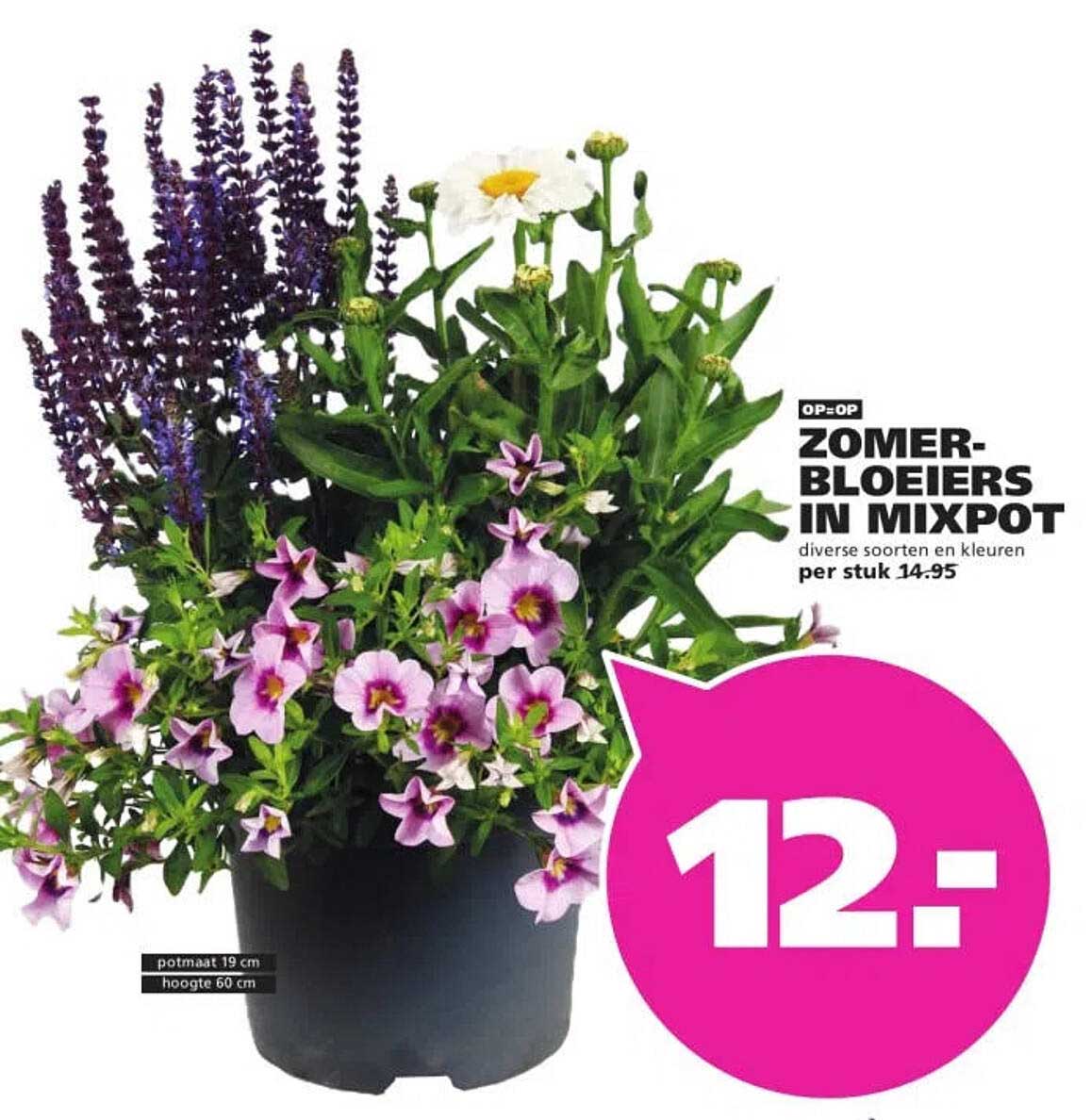 Zomer-bloeiers in mixpot