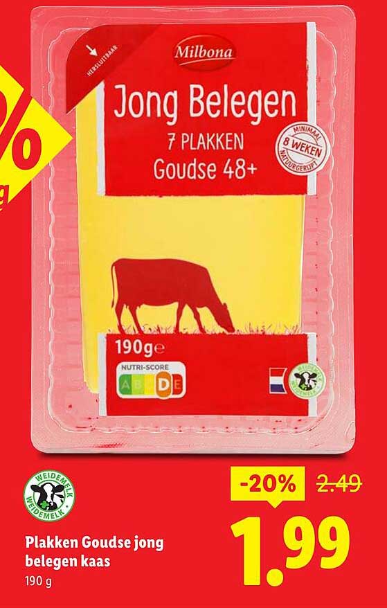 Plakken Goudse jong belegen kaas