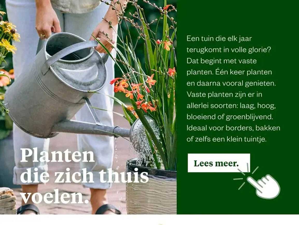 Planten die zich thuis voelen.