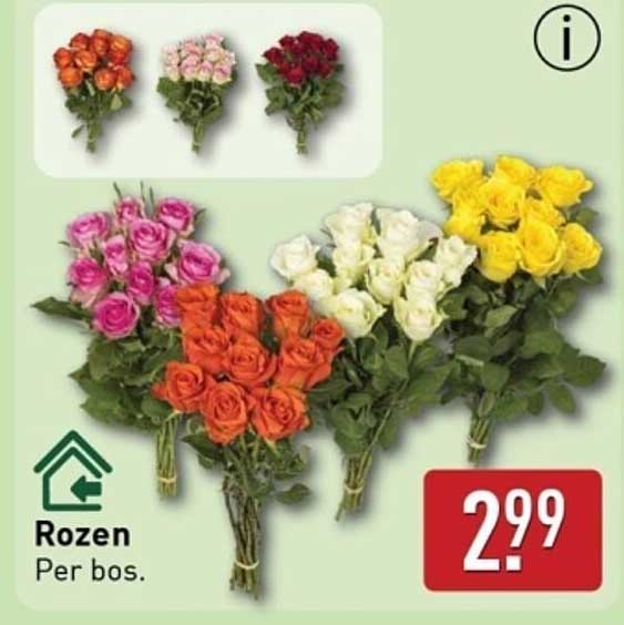 Rozen Per bos.