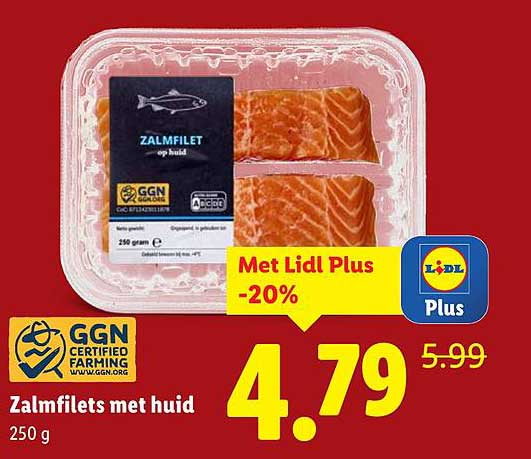 Zalmfilets met huid