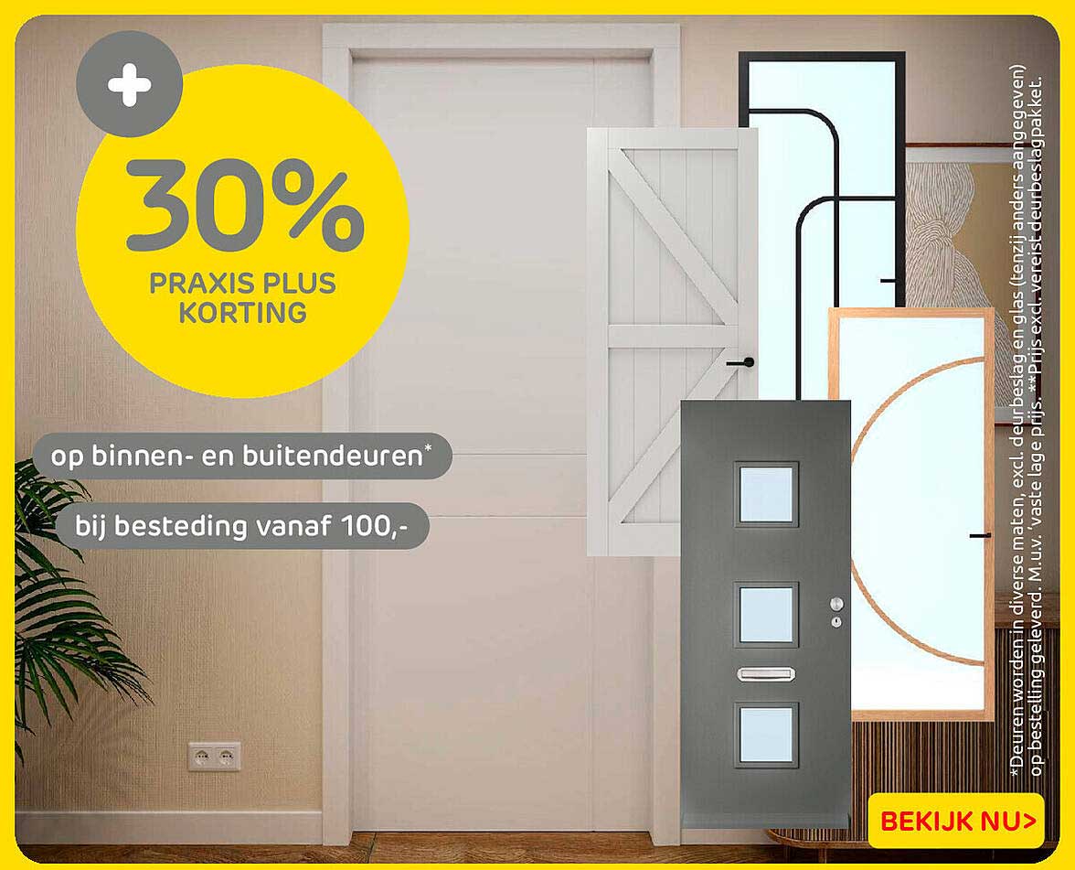 + 30% PRAXIS PLUS KORTING op binnen- en buitendeuren bij besteding vanaf 100,-