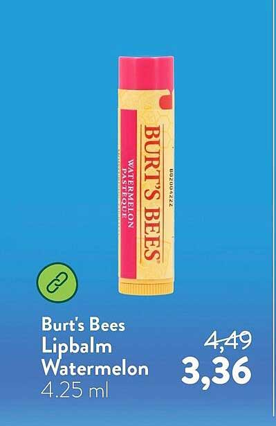 Burt's Bees Lipbalm Watermelon