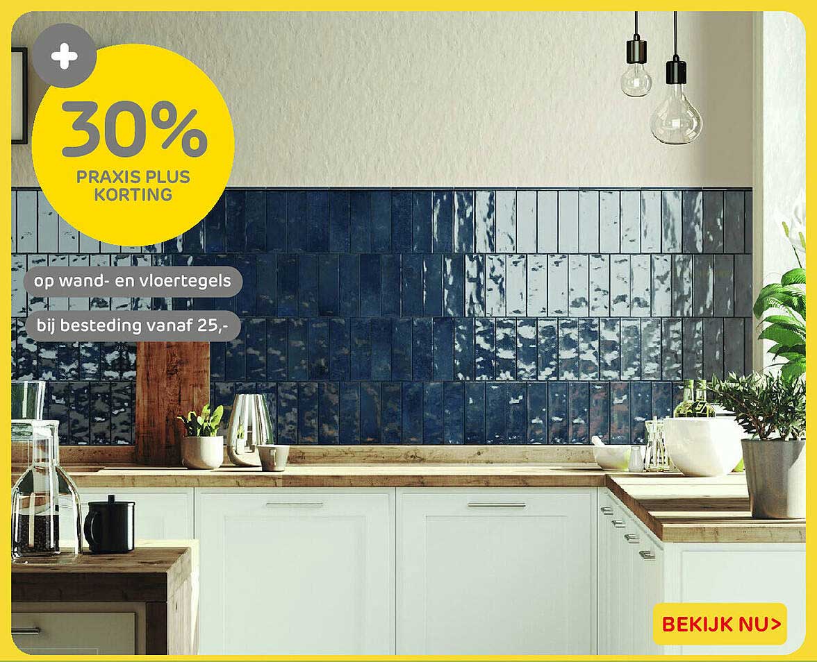 30% Praxis Plus korting op wand- en vloertegels bij besteding vanaf 25,-