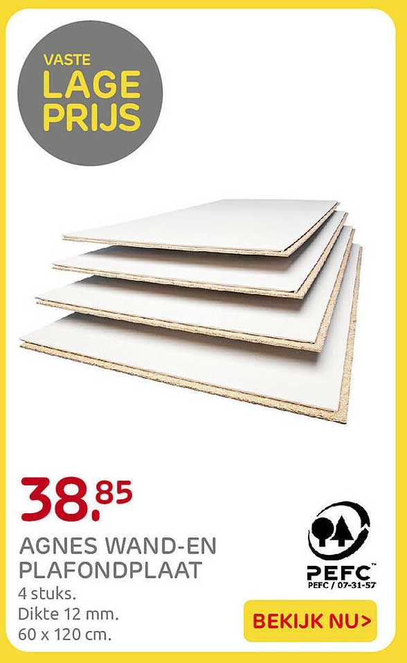 AGNES WAND-EN PLAFONDPLAAT