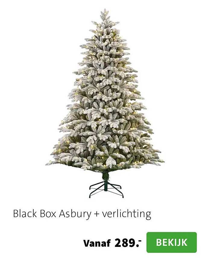 Black Box Asbury + verlichting