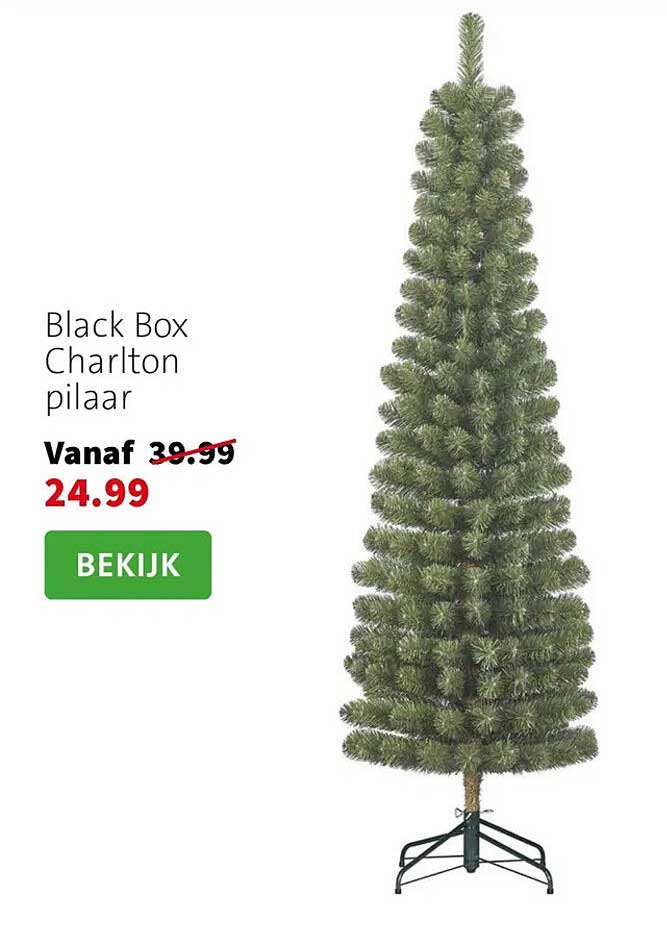Black Box Charlton pilaar