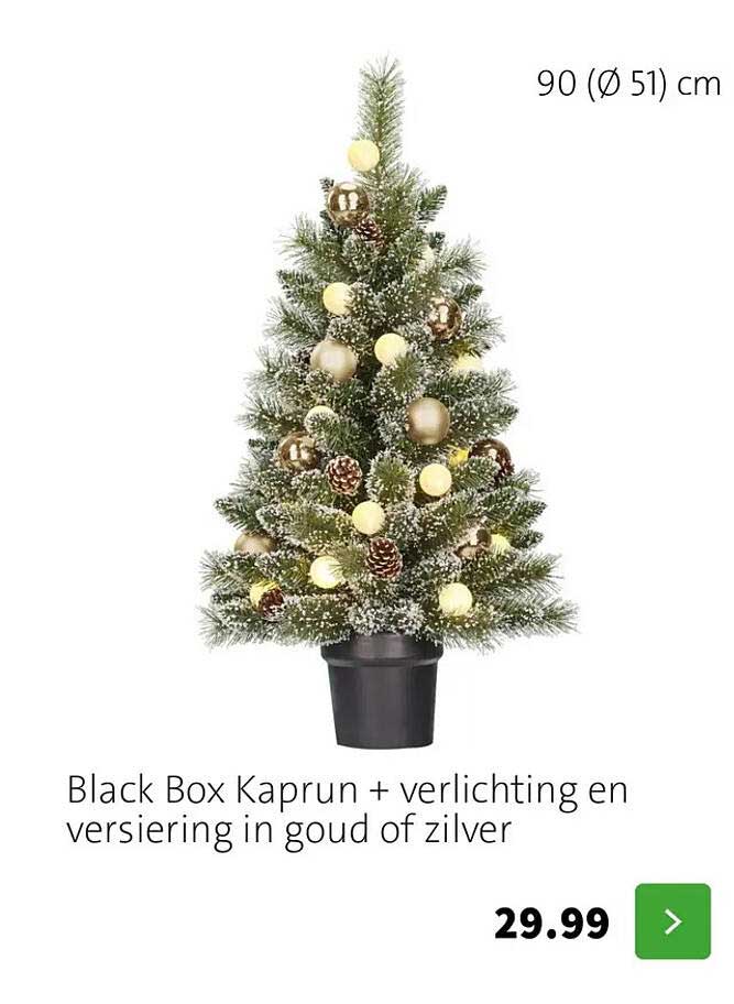 Black Box Kaprun + verlichting en versiering in goud of zilver