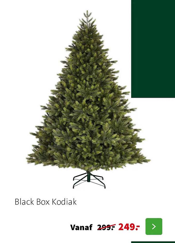 Black Box Kodiak