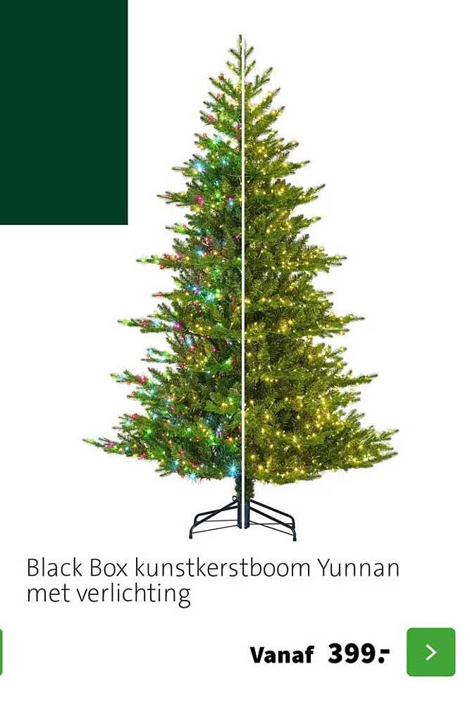 Black Box kunstkerstboom Yunnan met verlichting