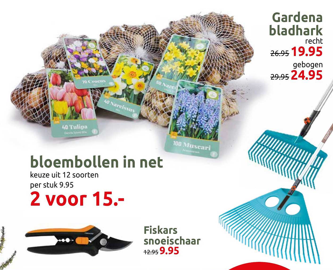 bloembollen in net 2 voor 15.-