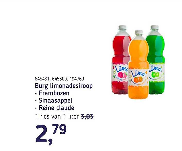 Burg limonadesiroop • Frambozen • Sinaasappel • Reine claude
