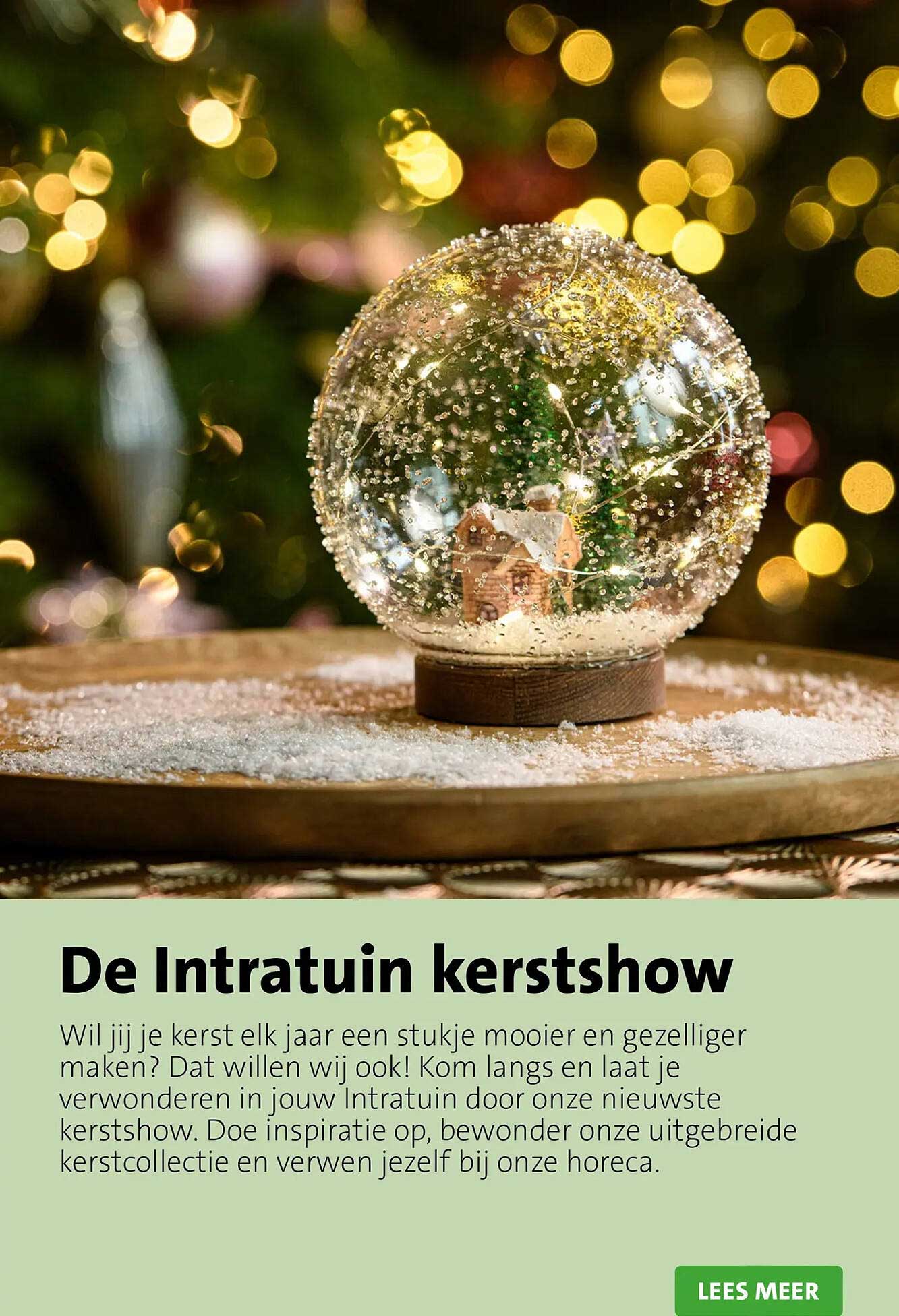 De Intratuin kerstshow