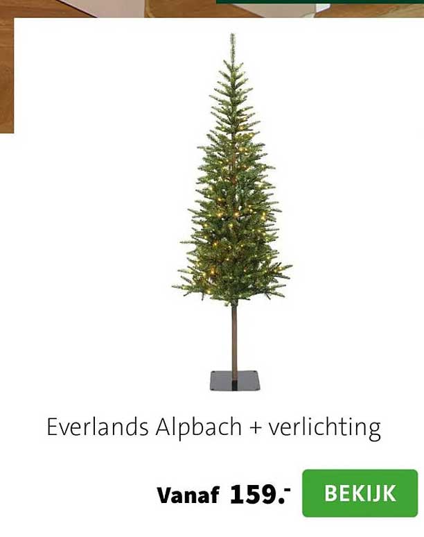 Everlands Alpbach + verlichting