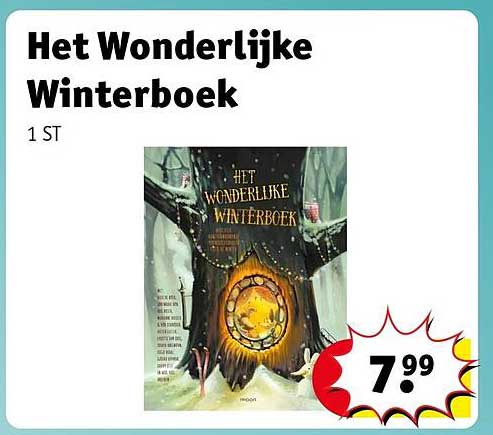 Het Wonderlijke Winterboek