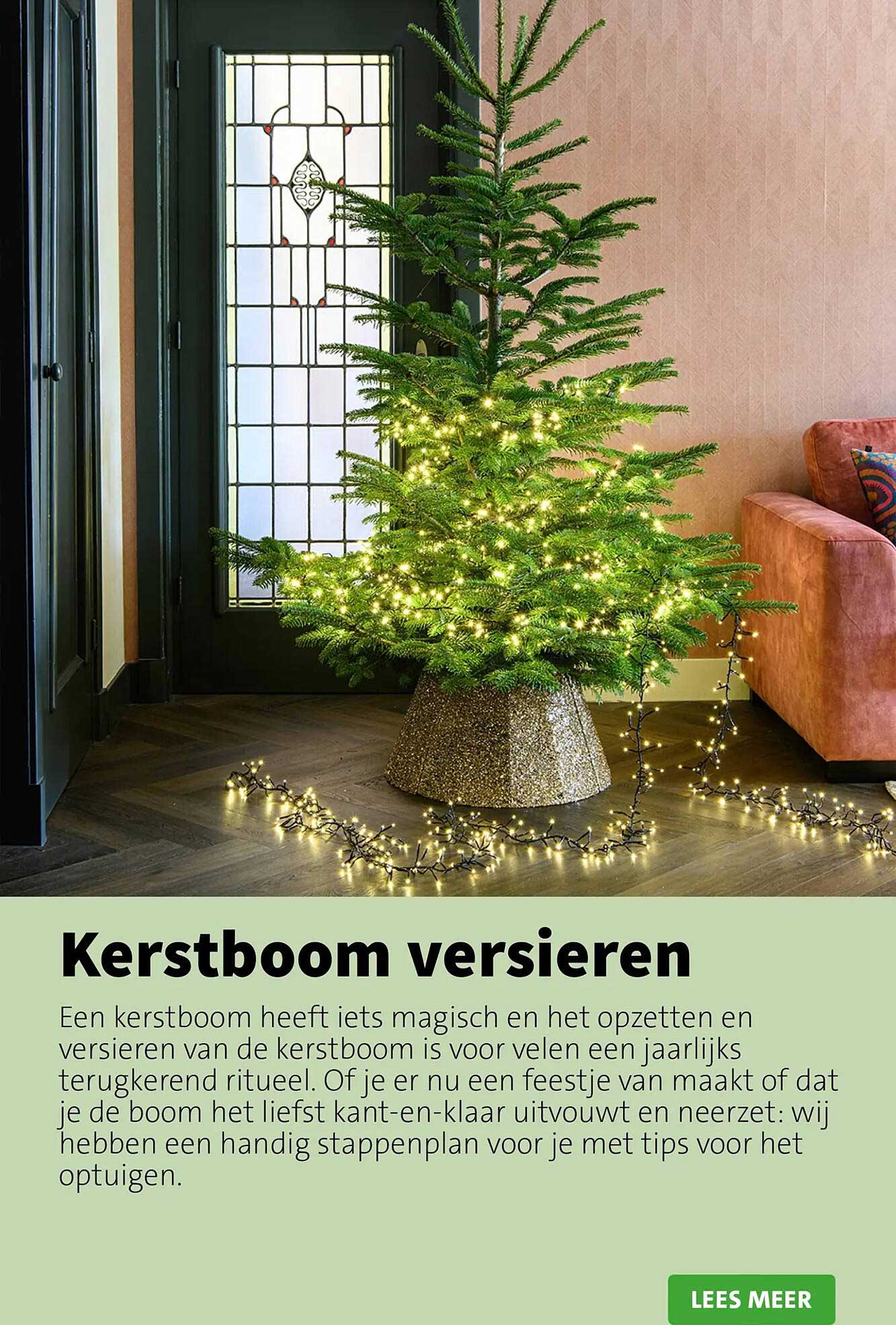 Kerstboom versieren