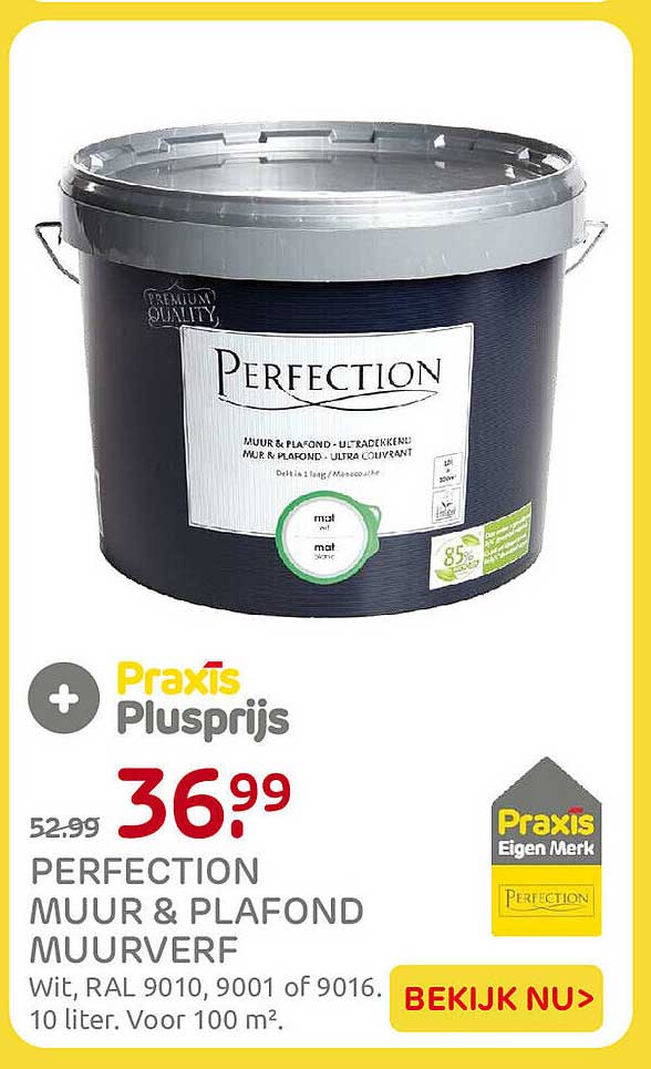 PERFECTION MUUR & PLAFOND MUURVERF