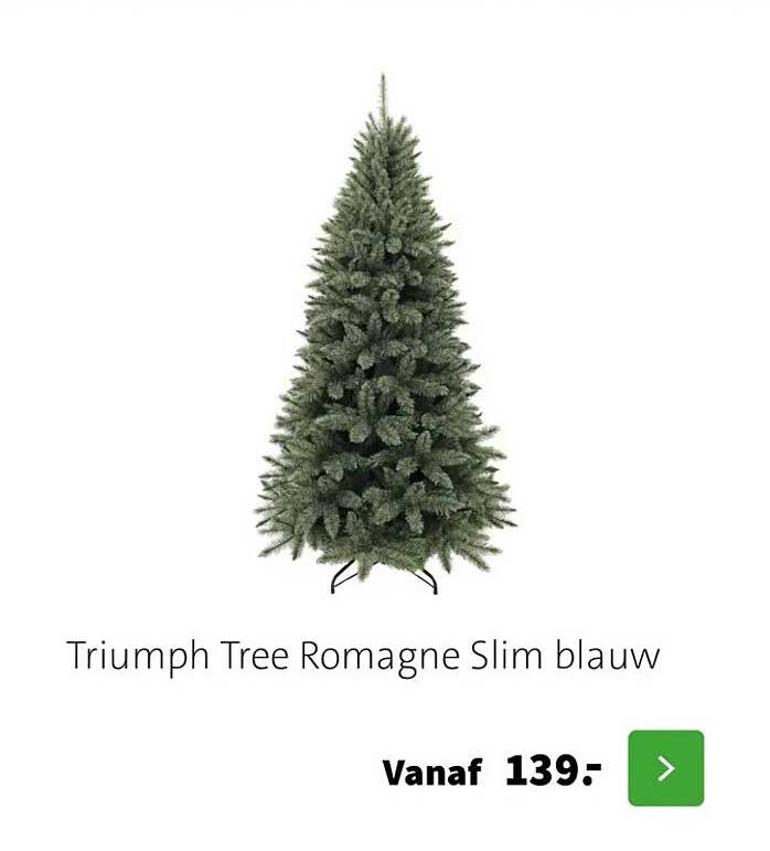 Triumph Tree Romagne Slim blauw