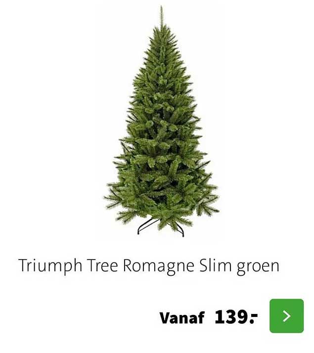 Triumph Tree Romagne Slim groen