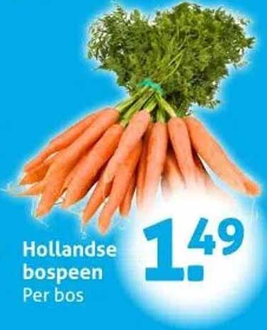 Hollandse bospeen