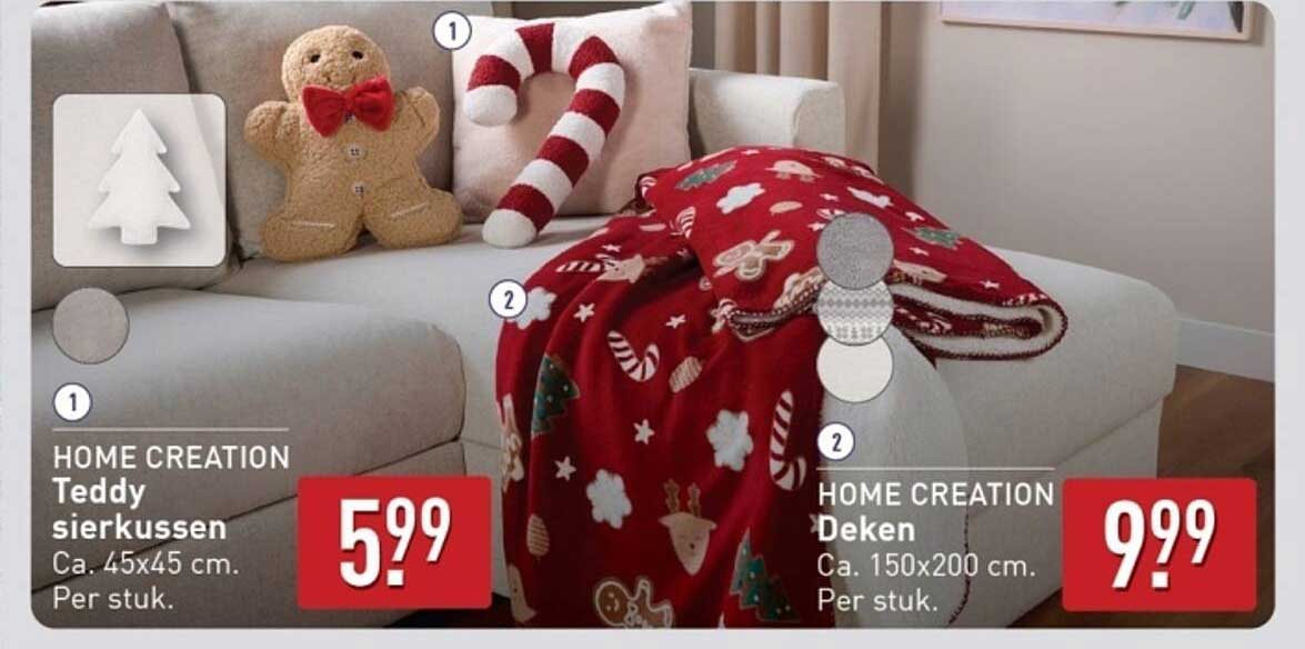 HOME CREATION Teddy sierkussen