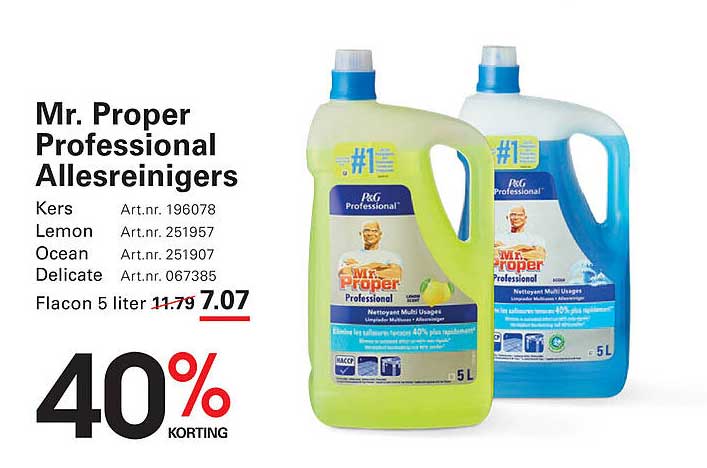 Mr. Proper Professional Allesreinigers