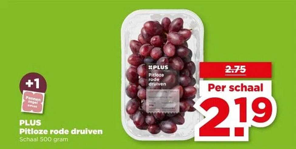PLUS Pitloze rode druiven Schaal 500 gram