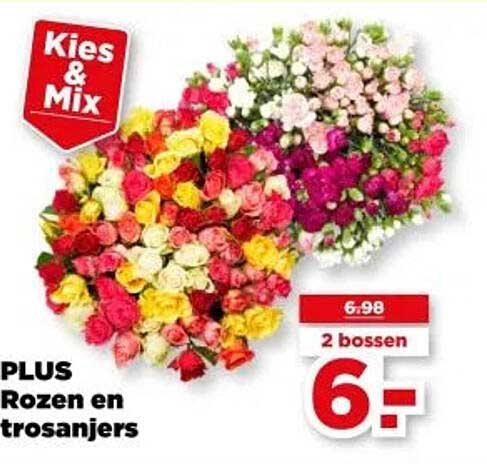 PLUS Rozen en trosanjers