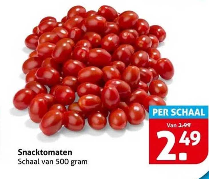 Snacktomaten Schaal van 500 gram