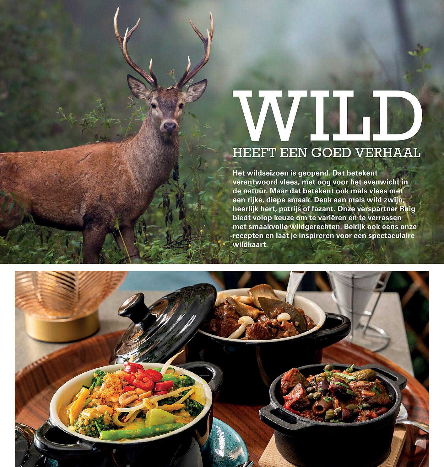 WILD HEEFT EEN GOED VERHAAL