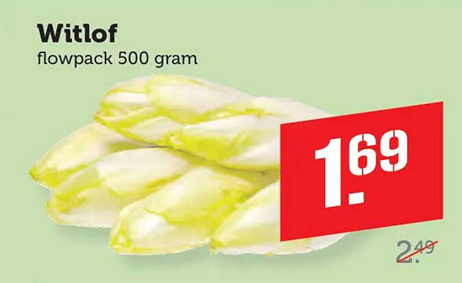 Witlof flowpack 500 gram
