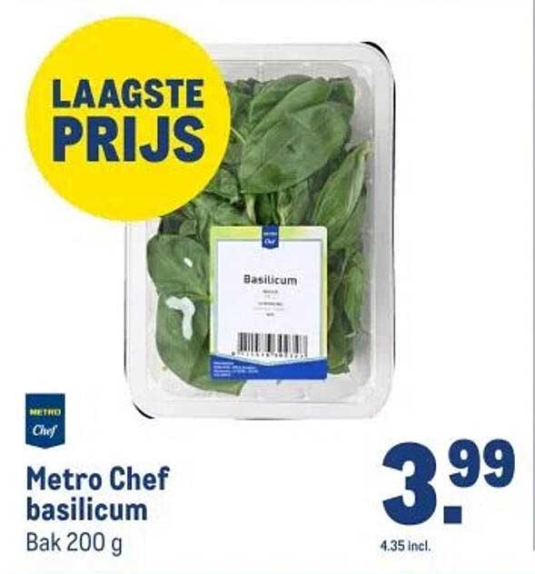 Metro Chef basilicum