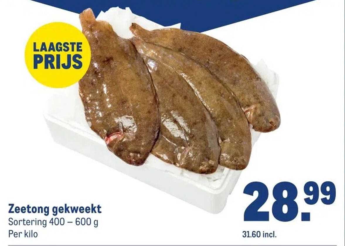 Zeetong gekweekt