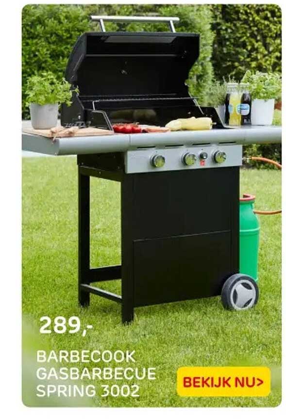 BARBECOOK GASBARBECUE SPRING 3002