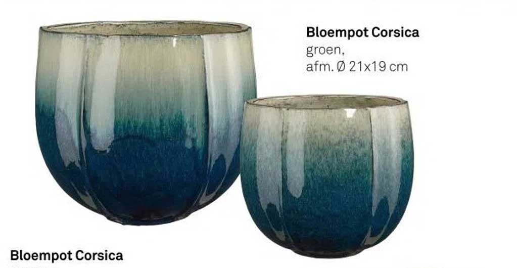 Bloempot Corsica