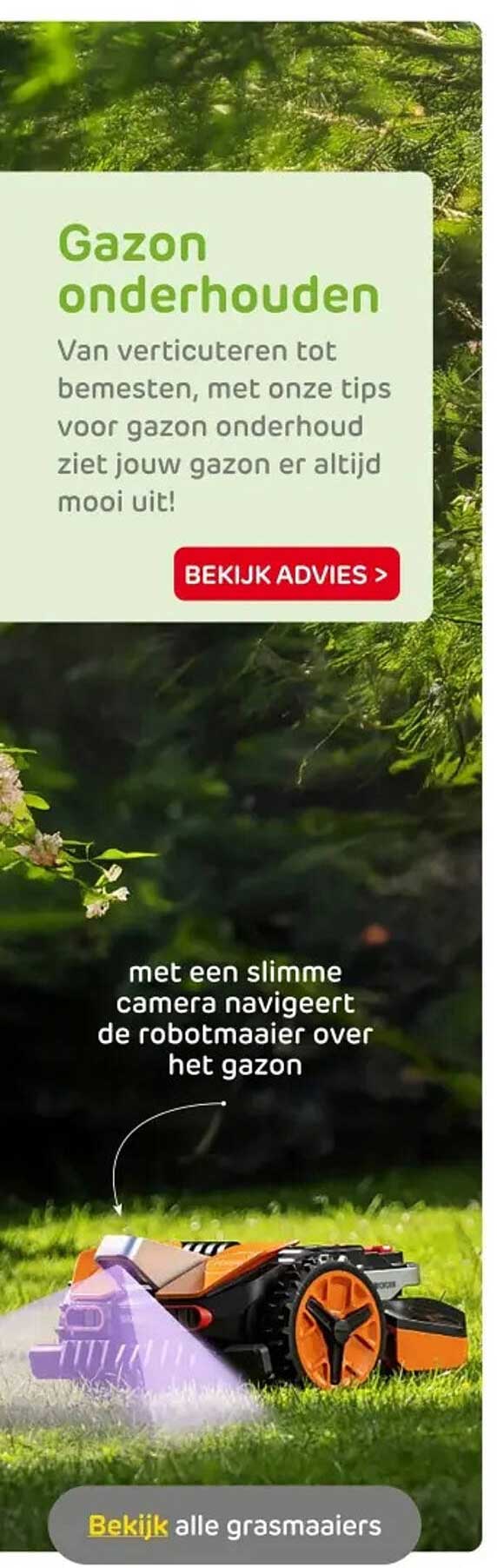 Gazon onderhouden