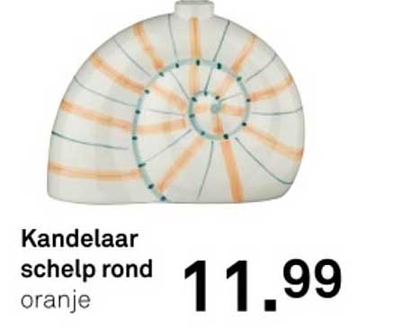 Kandelaar schelp rond