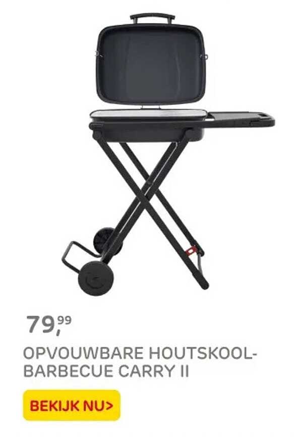 OPVOUWBARE HOUTSKOOL-BARBECUE CARRY II